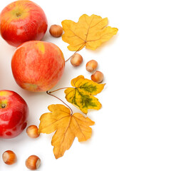 Autumn apples,hazelnuts and leaves isolated on white. There is free space for text.