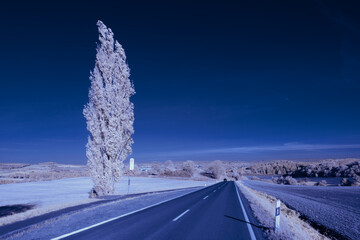 infrared photography - surreal ir photo of landscape with trees under cloudy sky - the art of our...