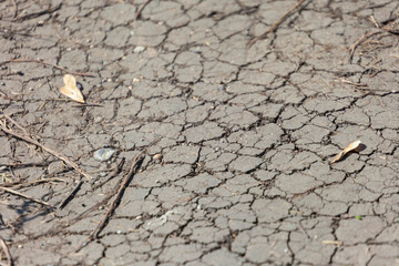 Dry cracked ground in the park in the shade