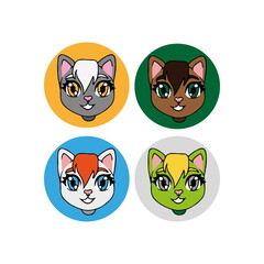 Avatars with cats' faces in a circle.