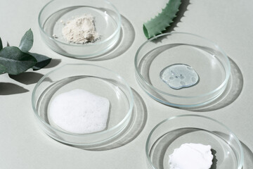 Cosmetic products, scrub, face serum and gel in many petri dishes on a green background. Natural cosmetics from herbal ingredients. Herbs and essential oils in cosmetics.