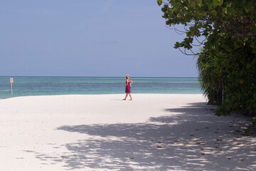 Paseando, Playa paradisiaca soleada, agua cristalina, palmeras verdes y cielo azul