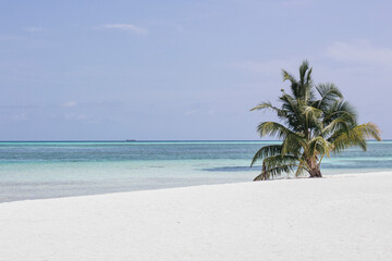 Playa paradisiaca soleada, agua cristalina y cielo azul