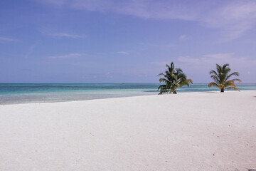 Playa paradisiaca soleada, agua cristalina y cielo azul