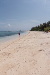 Paseando, Playa paradisiaca soleada, agua cristalina, palmeras verdes y cielo azul