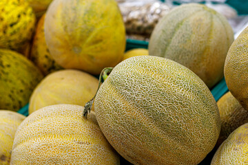 Fresh ripe yellow melons at the street market.