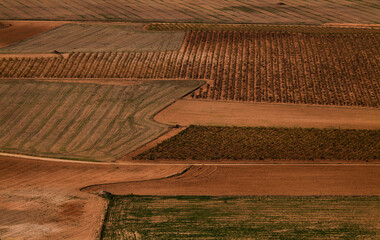 Aerial view of landscape of vineyard fields in Castilla La Mancha, Spain