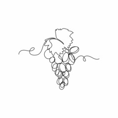 Vector continuous one single line drawing icon of ecologically clean grapes in silhouette on a white background. Linear stylized.