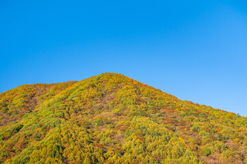 朝日が当たる紅葉した山