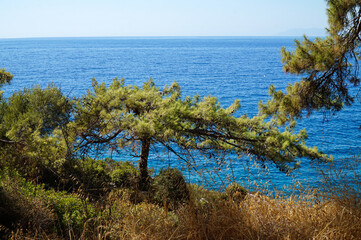 Fototapeta na wymiar View of the landscapes on the coast of southern Turkey along the Lycian path. 