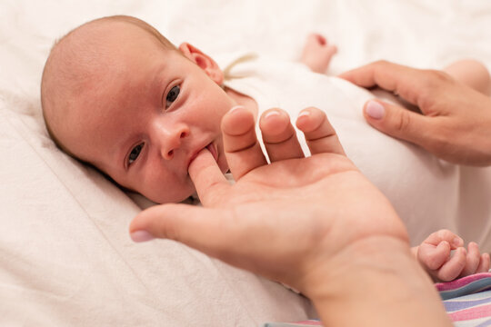 Mom prepare her newborn baby to breastfeed