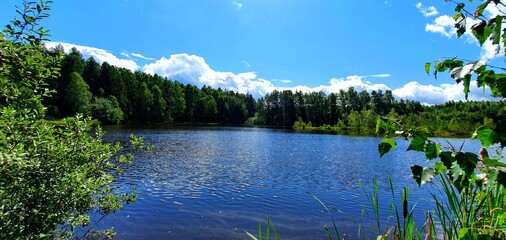 tajemnicze jezioro,las,krajobraz 