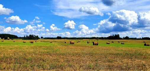 łąka, żniwa, lato © Kamil