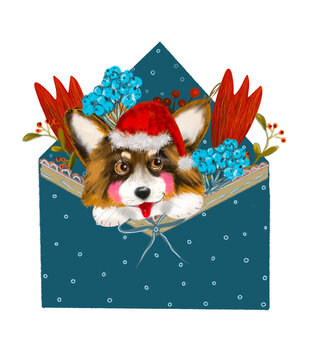 corgi dog in an envelope