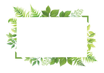 Green leaves rectangular frame template. Floral border with place for text. Forest herbs design. Vector illustration..