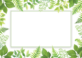 Green leaves rectangular frame template. Floral border with place for text. Forest herbs design. Vector illustration..