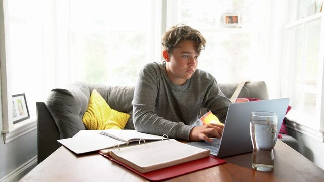A teen student learning at home doing schoolwork