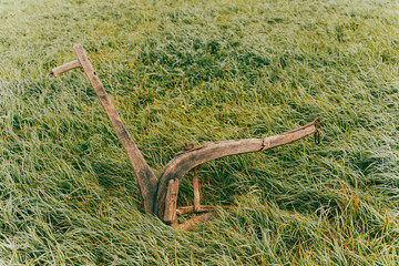 Old Toten-ard from Toten, Norway.