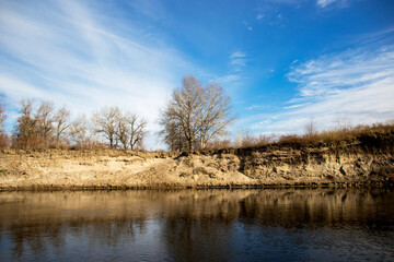 Beautiful forest beautiful trees