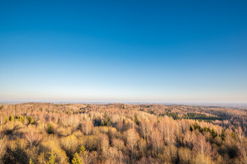 sunset over the forest in autumn