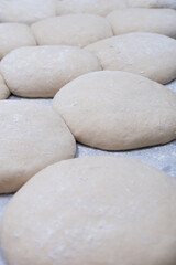 Fototapeta na wymiar Close-up of ready-to-bake sourdough bread dough with yeast