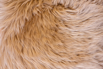 Fur texture top view. Brown fur background. Fur pattern. Texture of brown shaggy fur. Wool texture. Flaffy sheepskin fur close up