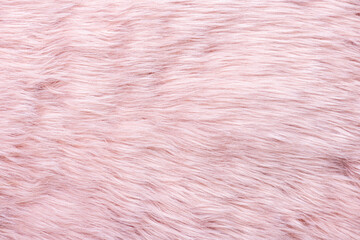 Pink fur texture top view. Pink sheepskin background. Fur pattern. Texture of pink shaggy fur. Wool texture. Sheep fur close up