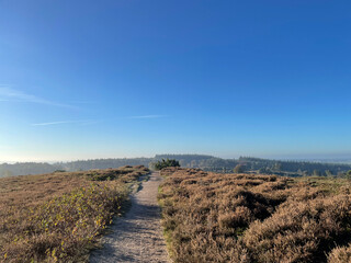 Hiking path at the Archemerberg