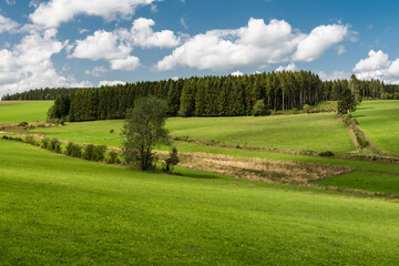Green nature landscape view with hills and trees in East Belgium