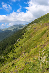Fototapeta na wymiar Transylvanian alps with green hills in Romania