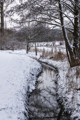 Snow nature landscapes in a Brussels park with bare trees
