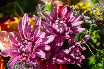 Macro texture background of lavender pink aster flowers in an indoor florist&rsquo;s bouquet arrangement