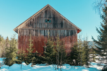 Winter barn of abandoned farm.
