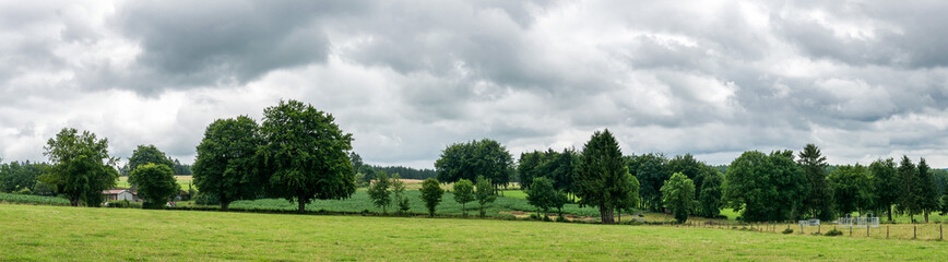 Fototapeta na wymiar Green meadows and woods at the Belgian countryside in the Ardennes region