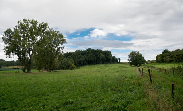 Green meadows and agriculture fields at the Flemish countryside