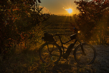 Fototapeta na wymiar Cycle route with color autumn trees in fresh foggy sunrise morning