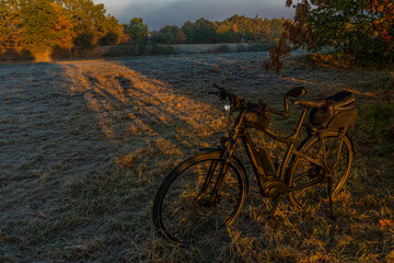 Cycle route with color autumn trees in fresh foggy sunrise morning