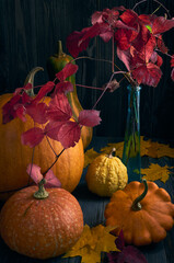 Pumpkins of different sizes and colors on a dark wooden table, with yellow autumn leaves.