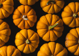 Top View of Many Small Pumpkins on a Dark Background