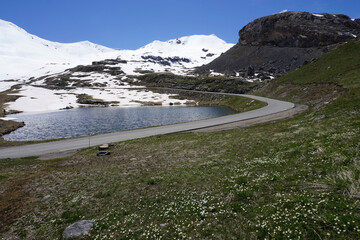 lake, road and flowers in the mountains col de la bonette alps france