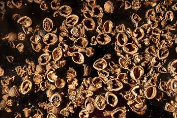 A lot of empty walnut shell. Textured background. Alternative fuel. Close-up. Copy space. Waste food. Brown color. Wallpaper. Banner. Beautiful still life on dark backdrop. Top view. Big heap. Mold