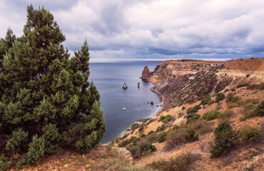 Fototapeta na wymiar Seaside with steep banks and rocks and cypress tree in the foreground