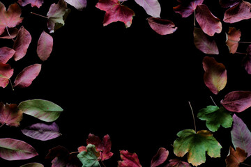 Dry colorful autumn leaves on a black background, creating a circle for copy space in the center.