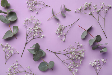 Beautiful floral composition with gypsophila flowers  and eucalyptus twigs on violet background, flat lay