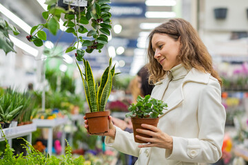 beautiful european woman in white coat chooses chooses between two houseplant at flower shop