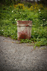 Naklejka premium Dirty bucket placed on the edge between pavement and a lawn
