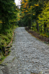 Fototapeta premium Road