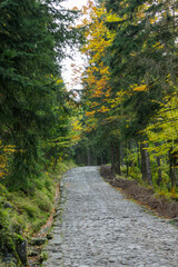 Road