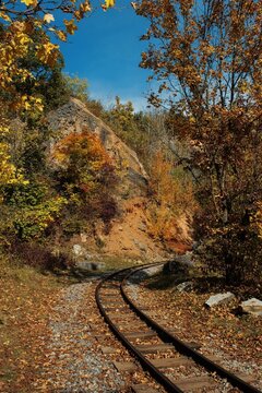 Railway in autumn