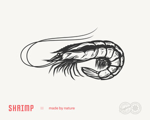 Fototapeta premium Vector shrimp flat style illustration. Seafood icon